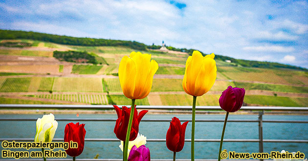 Osterspaziergang in Bingen am Rhein